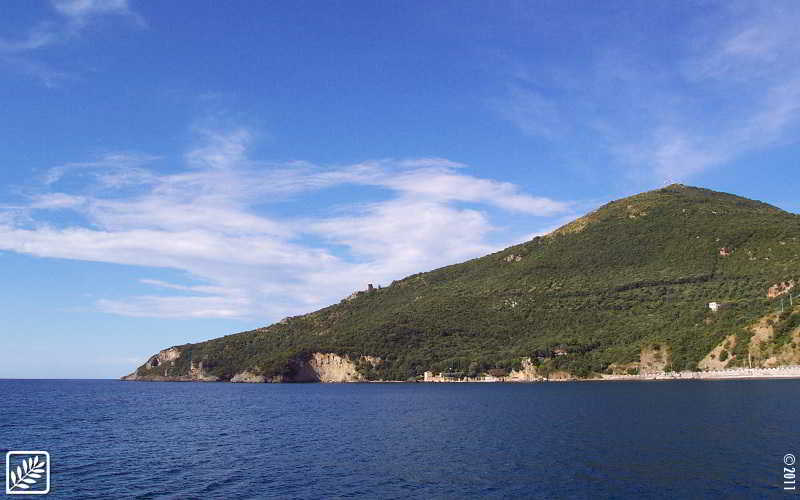 Hotel Torre Oliva Scario Buitenkant foto